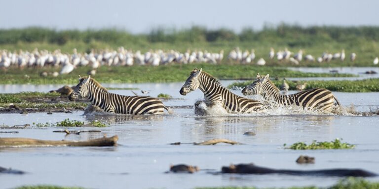 lake manyara nationa park
