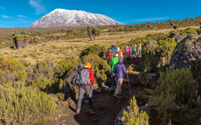 machame 2