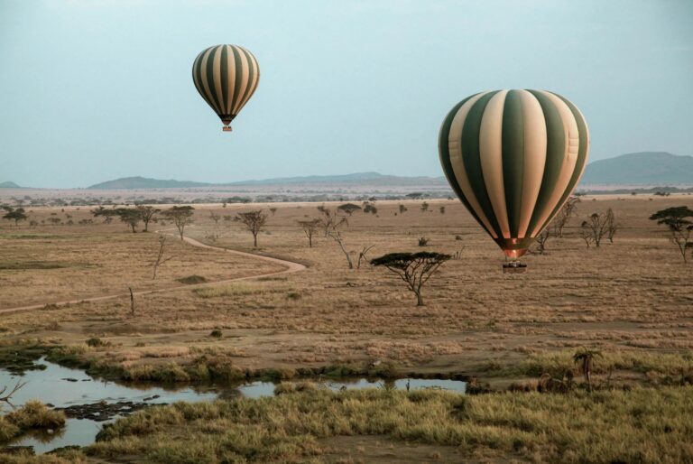 serengeti baloon